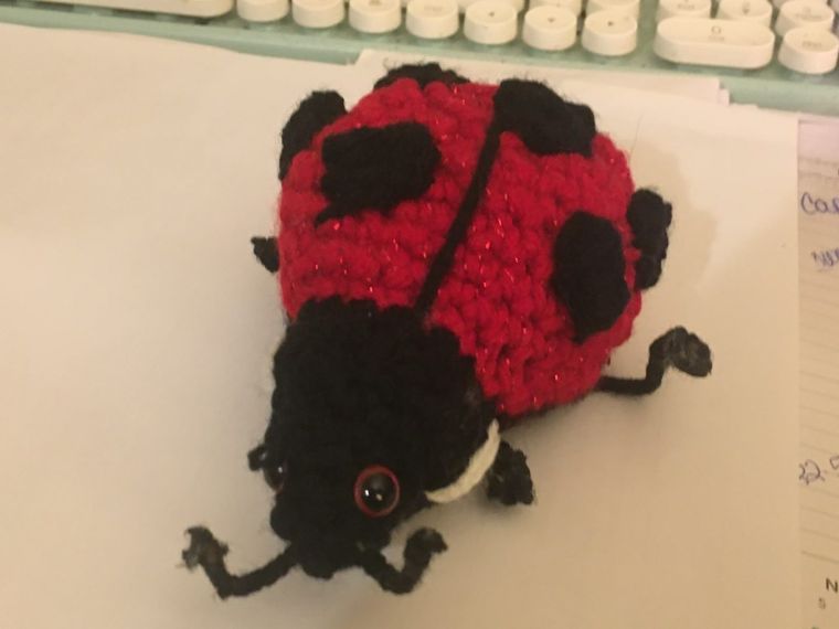 Black-Spot Ladybug: A sparkly red ladybug with bold black spots.