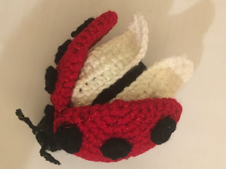 Ladybug, Wings Open: A glittery red ladybug with cream wings that lift.