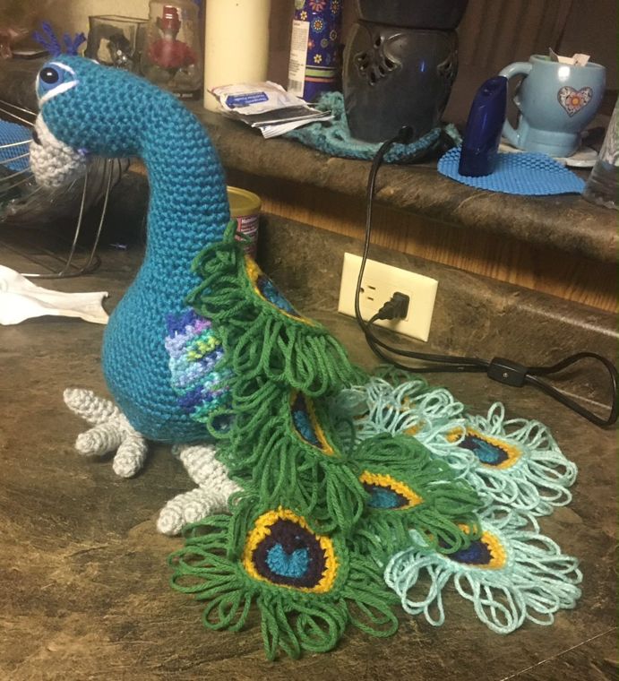 Peacock, Side View: Another look at the peacock and its looped feather train.